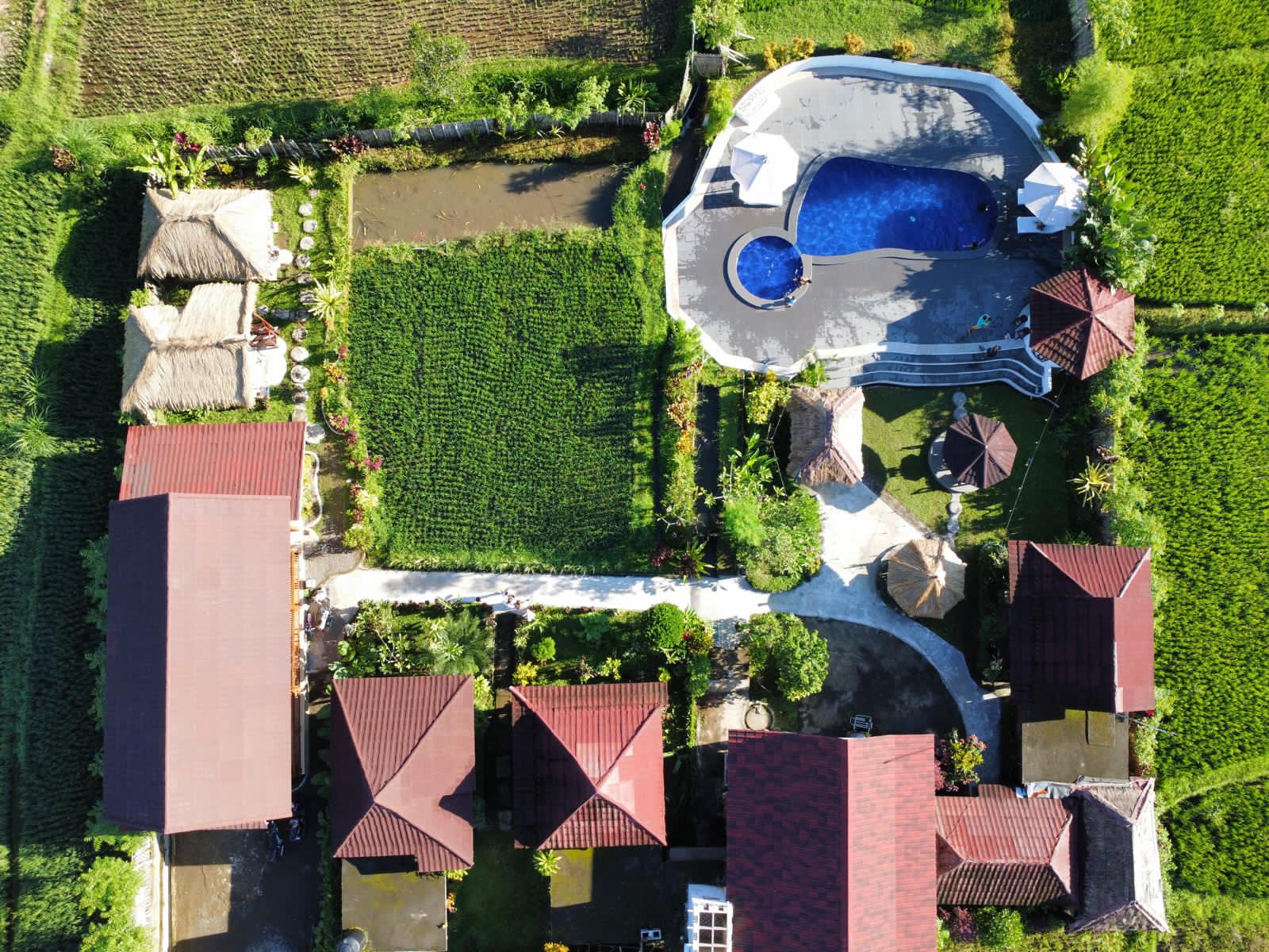 A Scenic Escape from Above